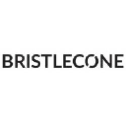 Bristlecone Recruitment 2025