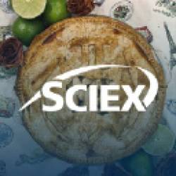 SCIEX Recruitment 2025